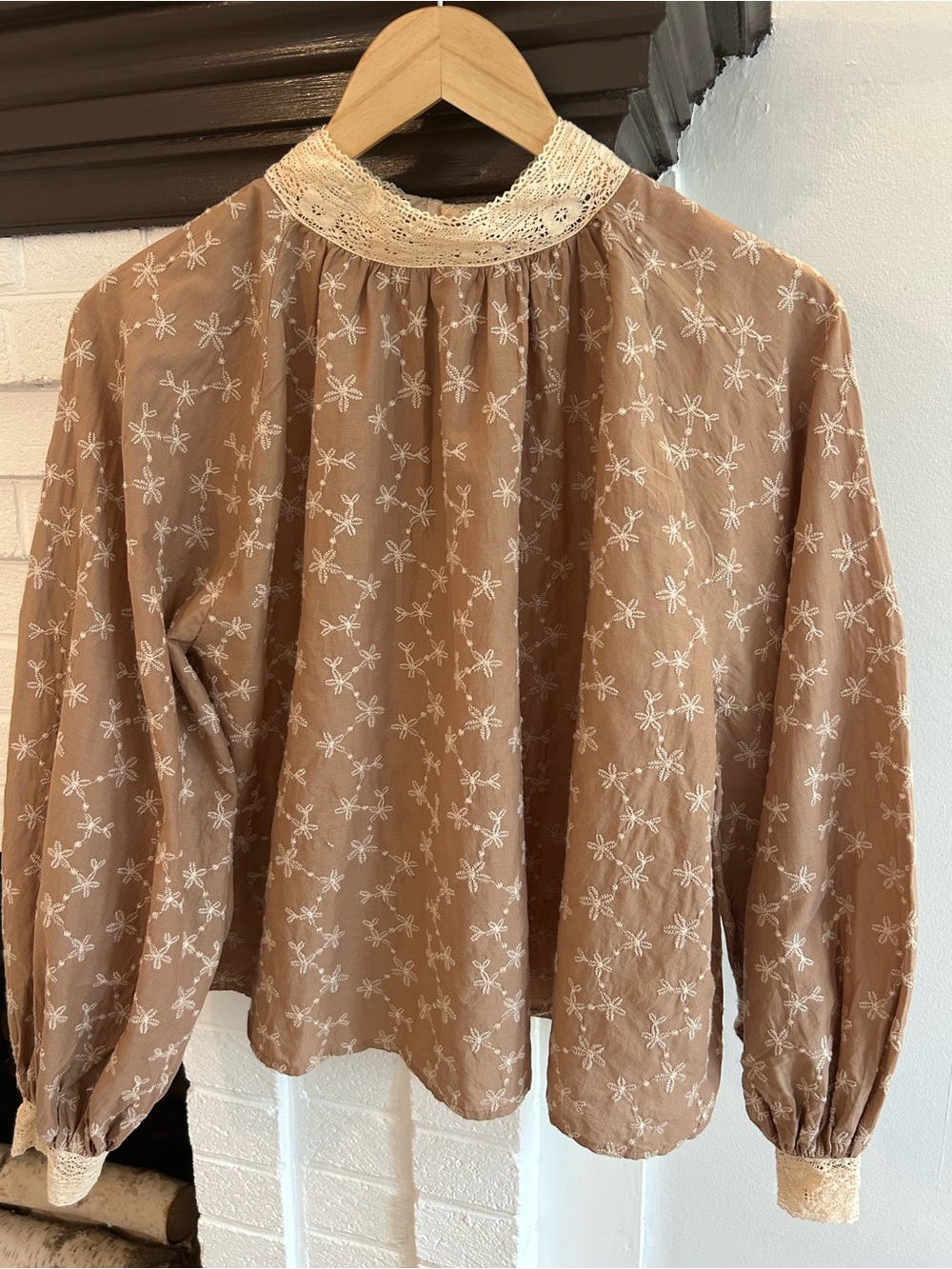 Zara Taupe Embroidered Lace Collar Blouse